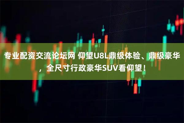 专业配资交流论坛网 仰望U8L鼎级体验、鼎级豪华，全尺寸行政豪华SUV看仰望！