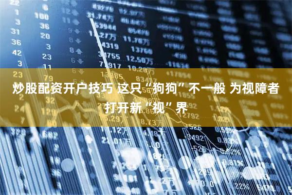 炒股配资开户技巧 这只“狗狗”不一般 为视障者打开新“视”界