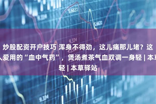 炒股配资开户技巧 浑身不得劲,这儿痛那儿堵?这味古人爱用的“血中气药”,煲汤煮茶气血双调一身轻 | 本草驿站